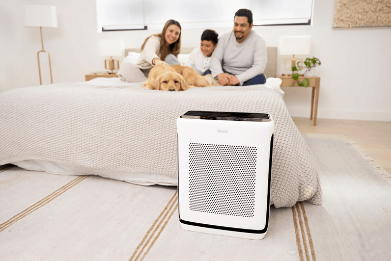 A closer look at Congratulations Air Purifier For Bedroom Online