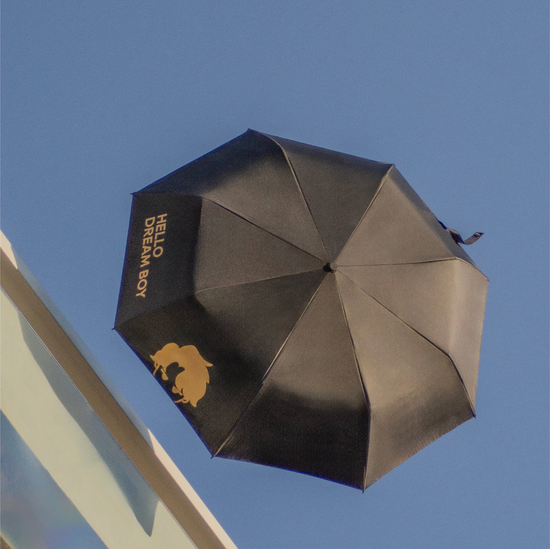 DREAM BOY Collection Series Sunny Umbrella
