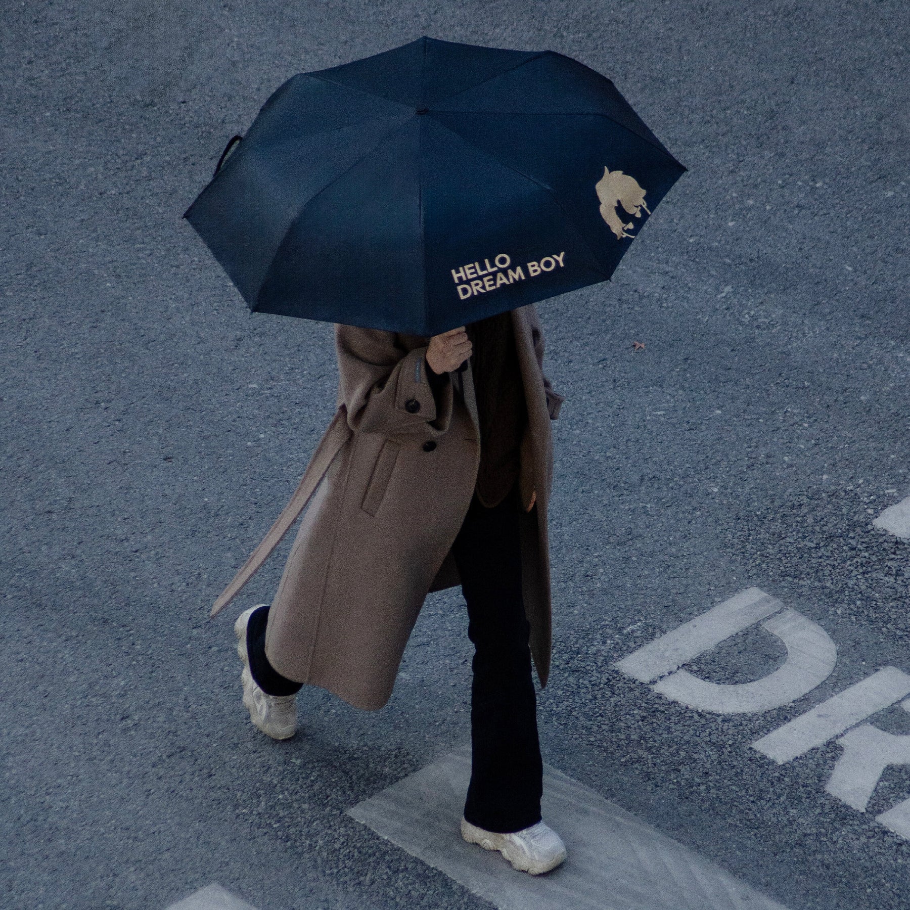 DREAM BOY Collection Series Sunny Umbrella