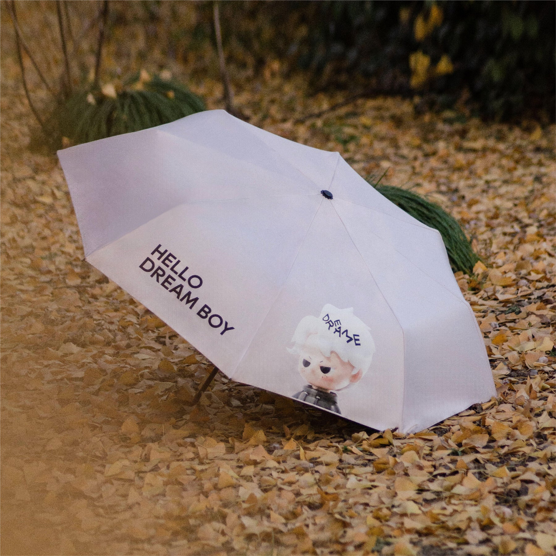 DREAM BOY Collection Series Sunny Umbrella