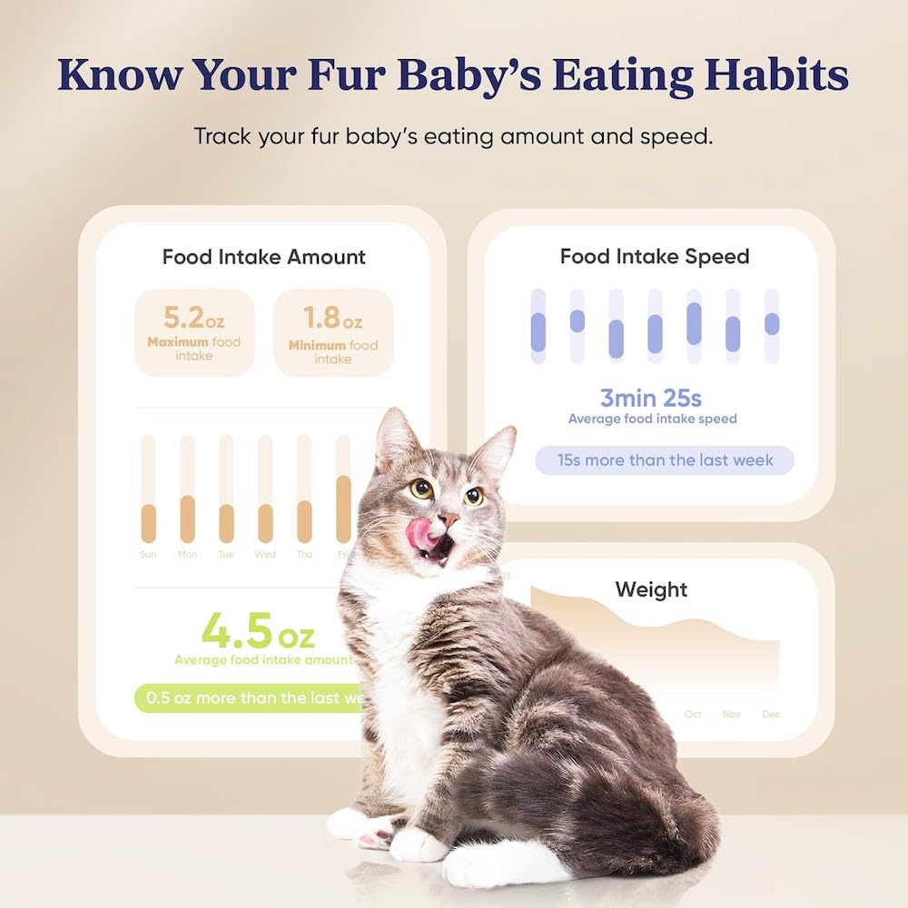 Pawsync Smart Pet Feeder