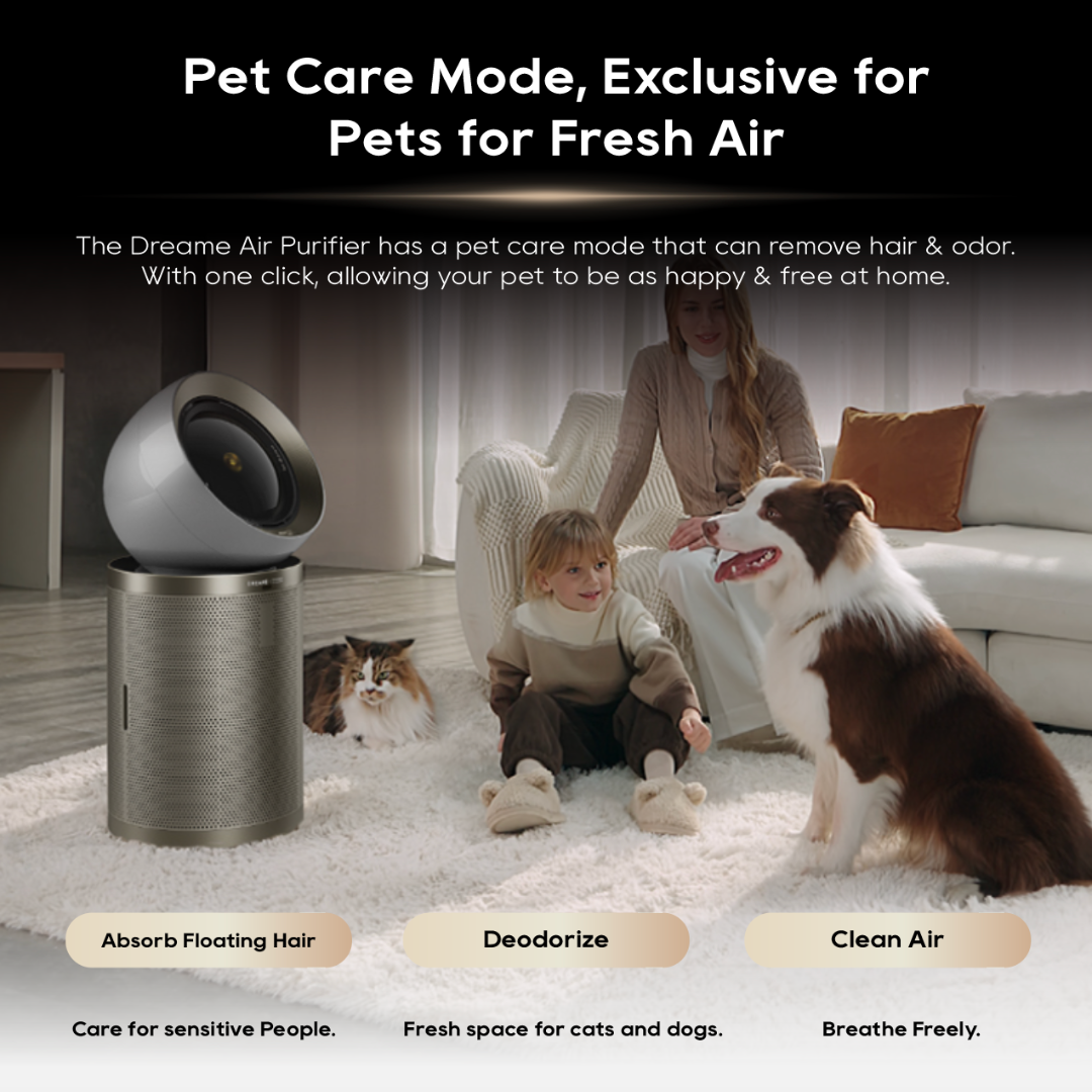 【GRAND LAUNCH】Dreame PM10 Air Purifier Fan Powered By DC Fan|DualAirflow Modulation & Environment Detect | H13 Hepa