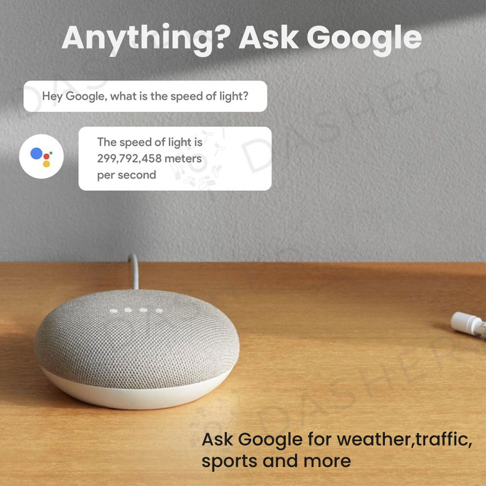 Google Nest Mini Smart Speaker
