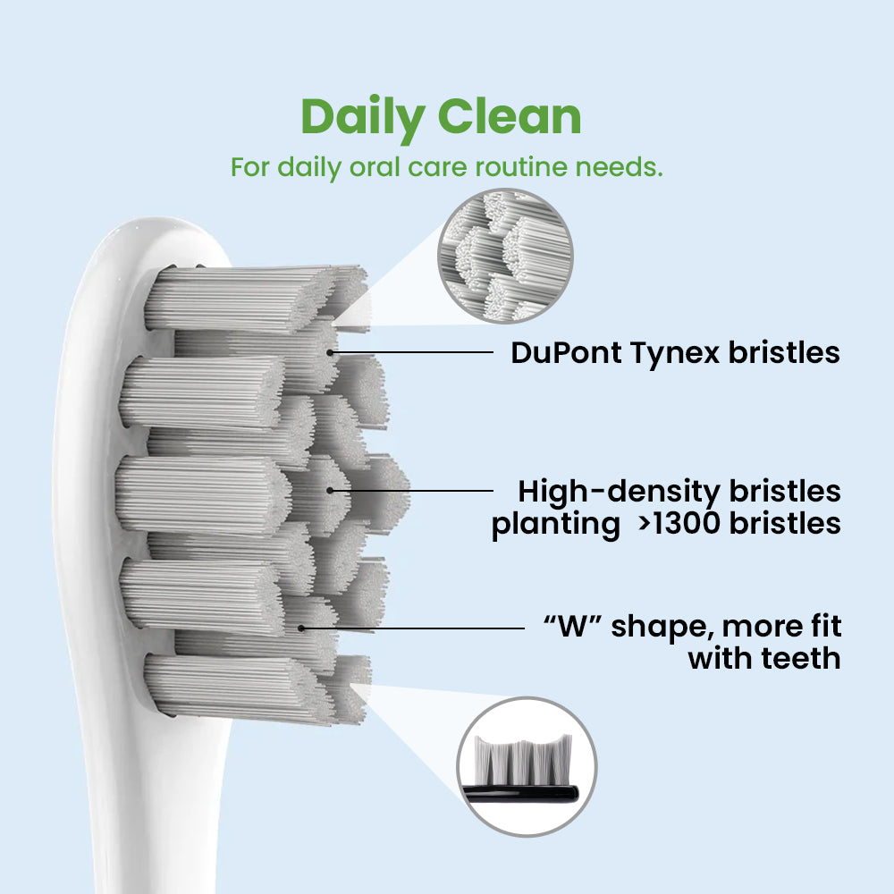Oclean Toothbrush Replacement - All Models