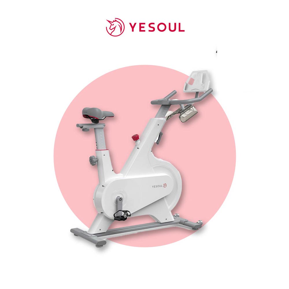 Yesoul M1 Spinning Bike Indoor Gym Equipment