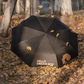 DREAM BOY Collection Series Sunny Umbrella