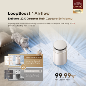 Dreame FP10 Pet Air Purifier