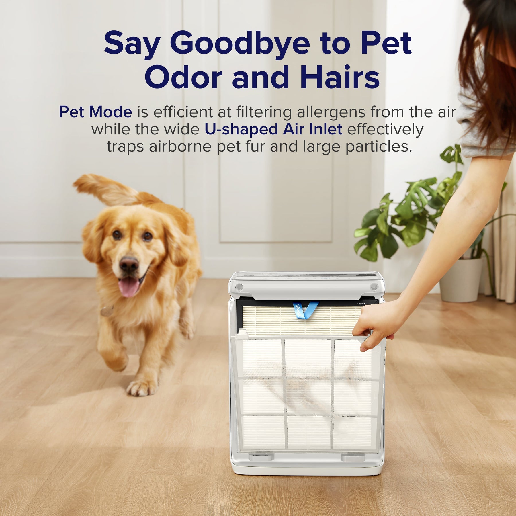 Levoit Vital 100s / 200s Pet Friendly H13 True HEPA Smart Air Purifier | Pet Mode | Odor Elimination | Medium Room