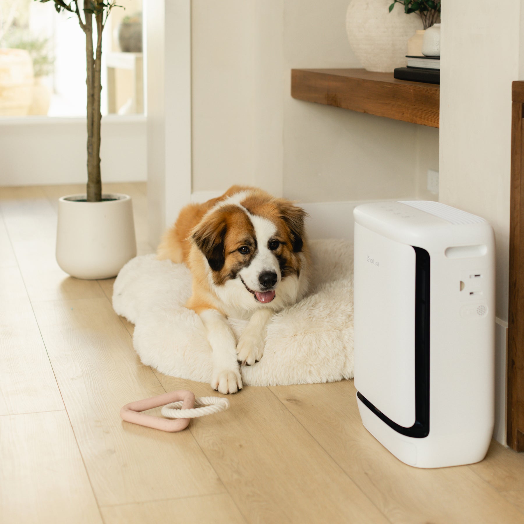 Levoit Vital Pet Pro Smart Air Purifier