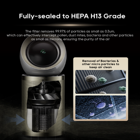 【GRAND LAUNCH】Dreame PM10 Air Purifier Fan Powered By DC Fan｜DualAirflow Modulation & Environment Detect | H13 Hepa