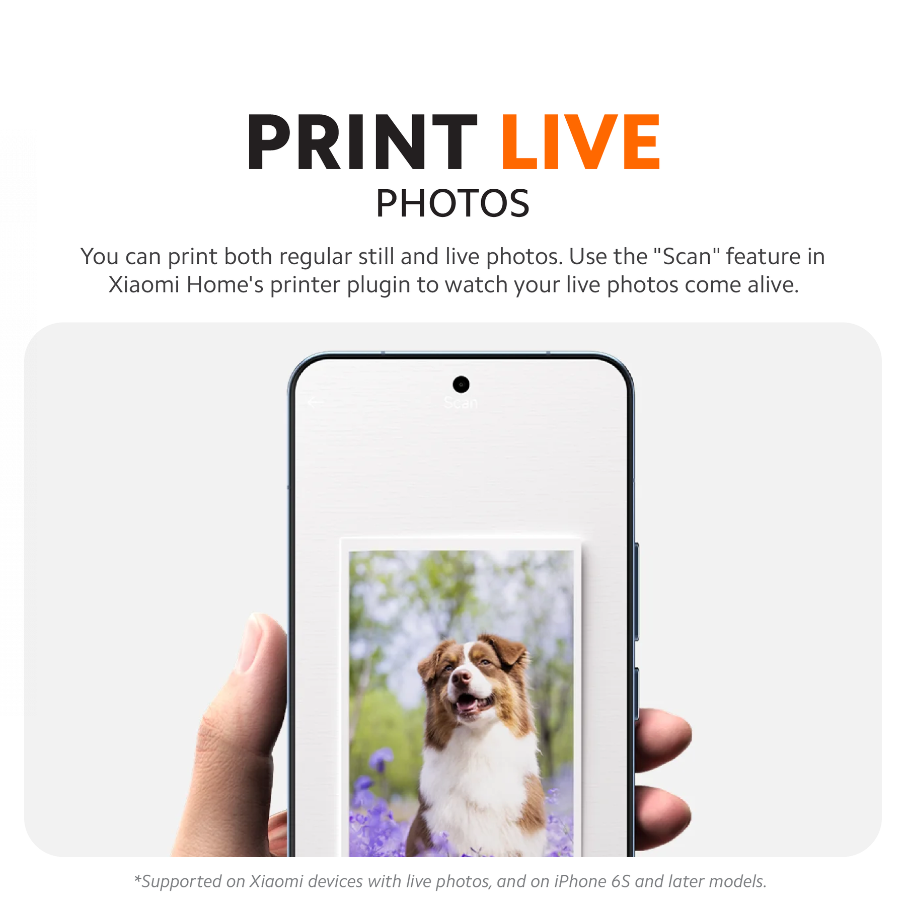 Xiaomi Portable Photo Printer Pro