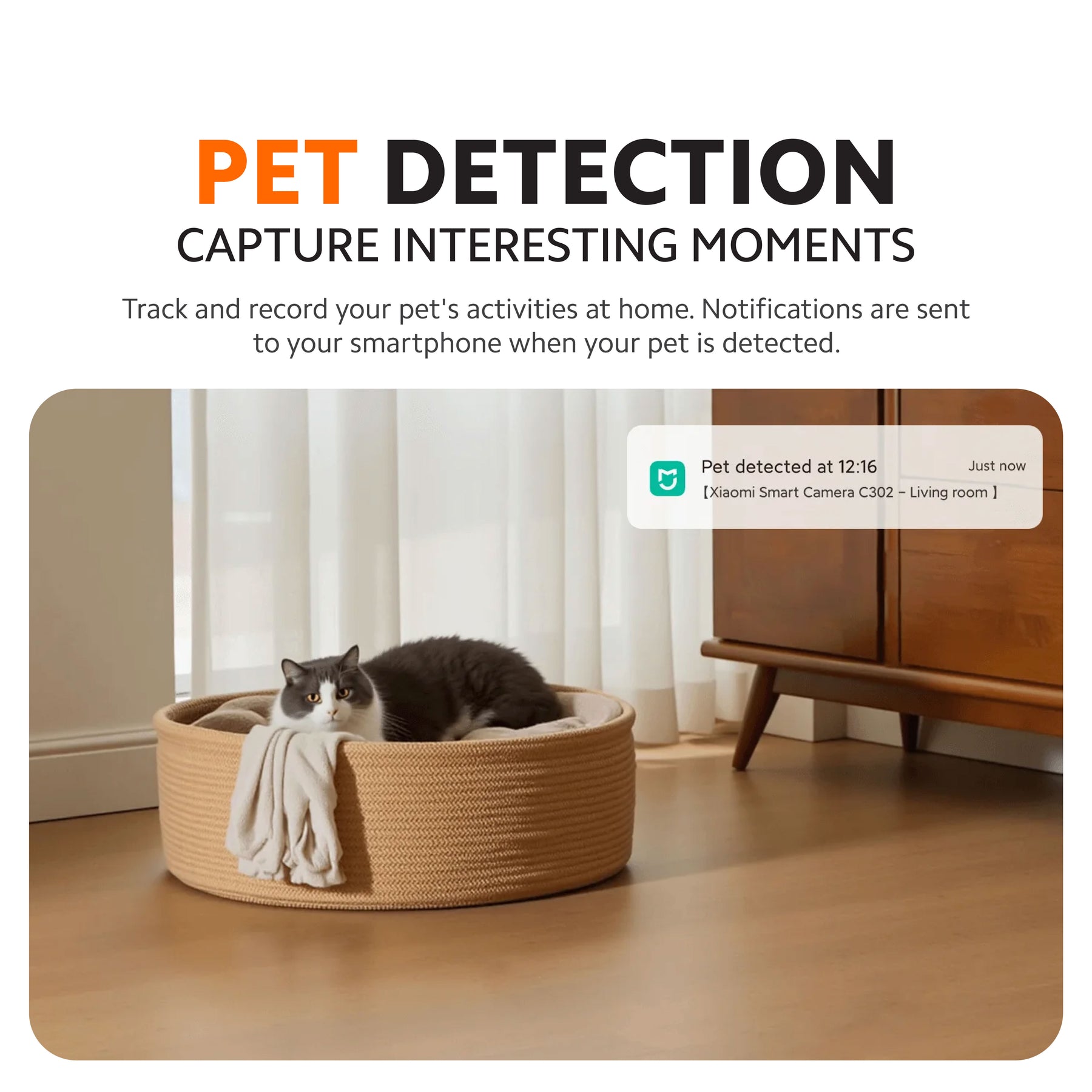 Xiaomi Smart Camera C302