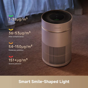 [CLIMATE VOUCHER $200 OFF] Dreame TP10 / TP20 Air Purifier H13 HEPA Filter | 500m³/h CADR | 5-Year Filter Life | PM2.5 Sensor | 22-59dB