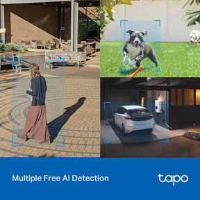 TP-Link Outdoor TAPO C510W/C520WS Pan/Tilt 360° Motion Tracking Security Network CCTV Camera