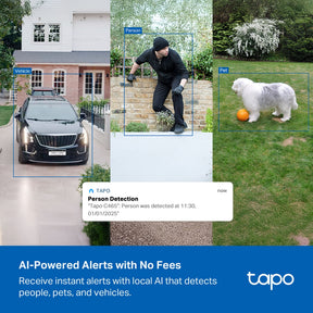 Tapo C465 4K 8MP Solar-Powered Outdoor Security Camera | Built-in Solar Panel | Up to 180-Day Battery | Starlight Colour Night Vision | Free Local AI Detection | IP65