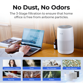 Levoit Air Purifier Core Mini