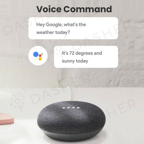 Google Nest Mini Smart Speaker