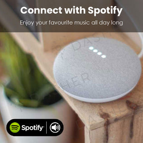 Google Nest Mini Smart Speaker