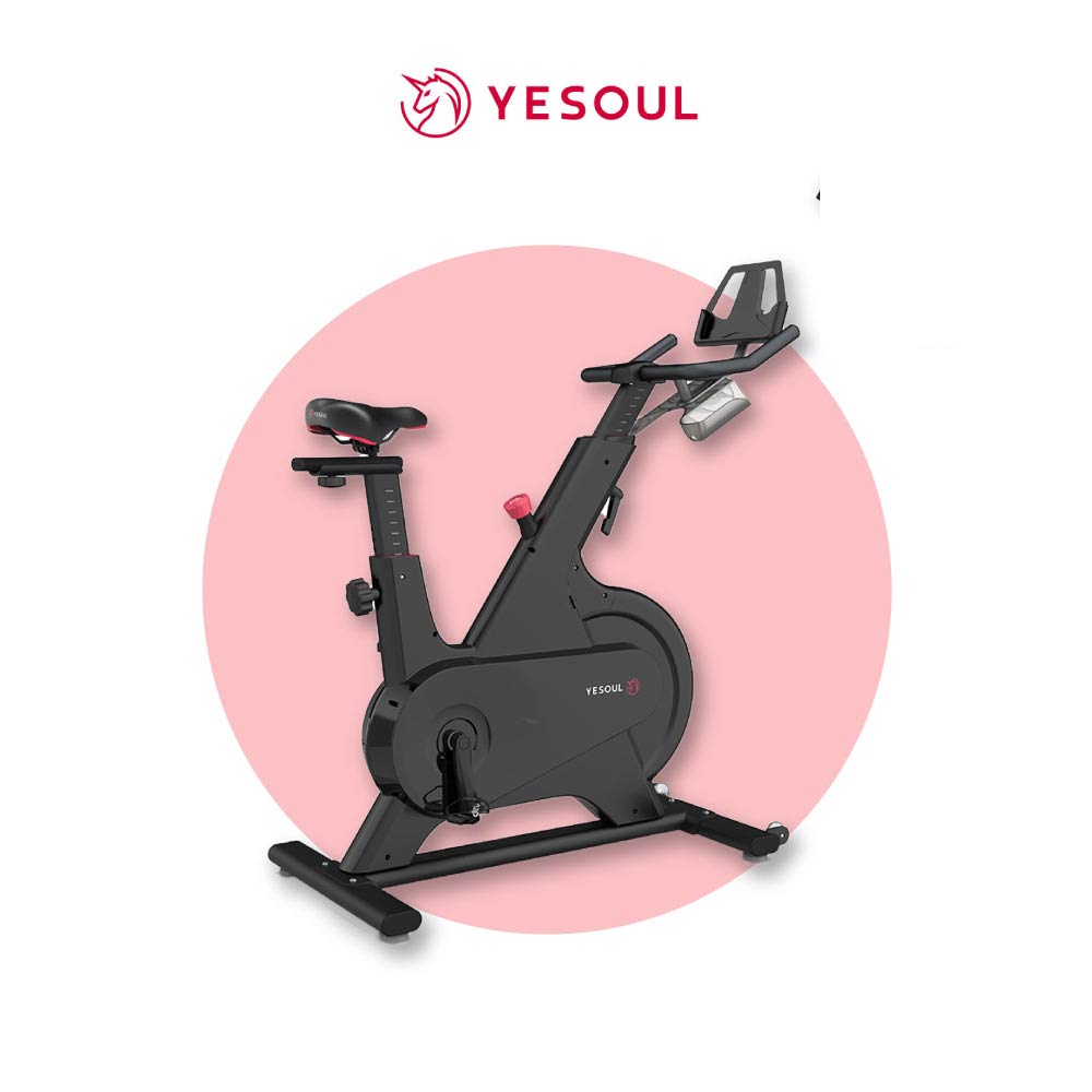 Yesoul M1 Spinning Bike Indoor Gym Equipment